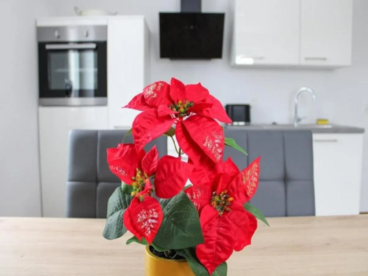 Apartment Allgaeu Oase Immenstadt im Allgaeu